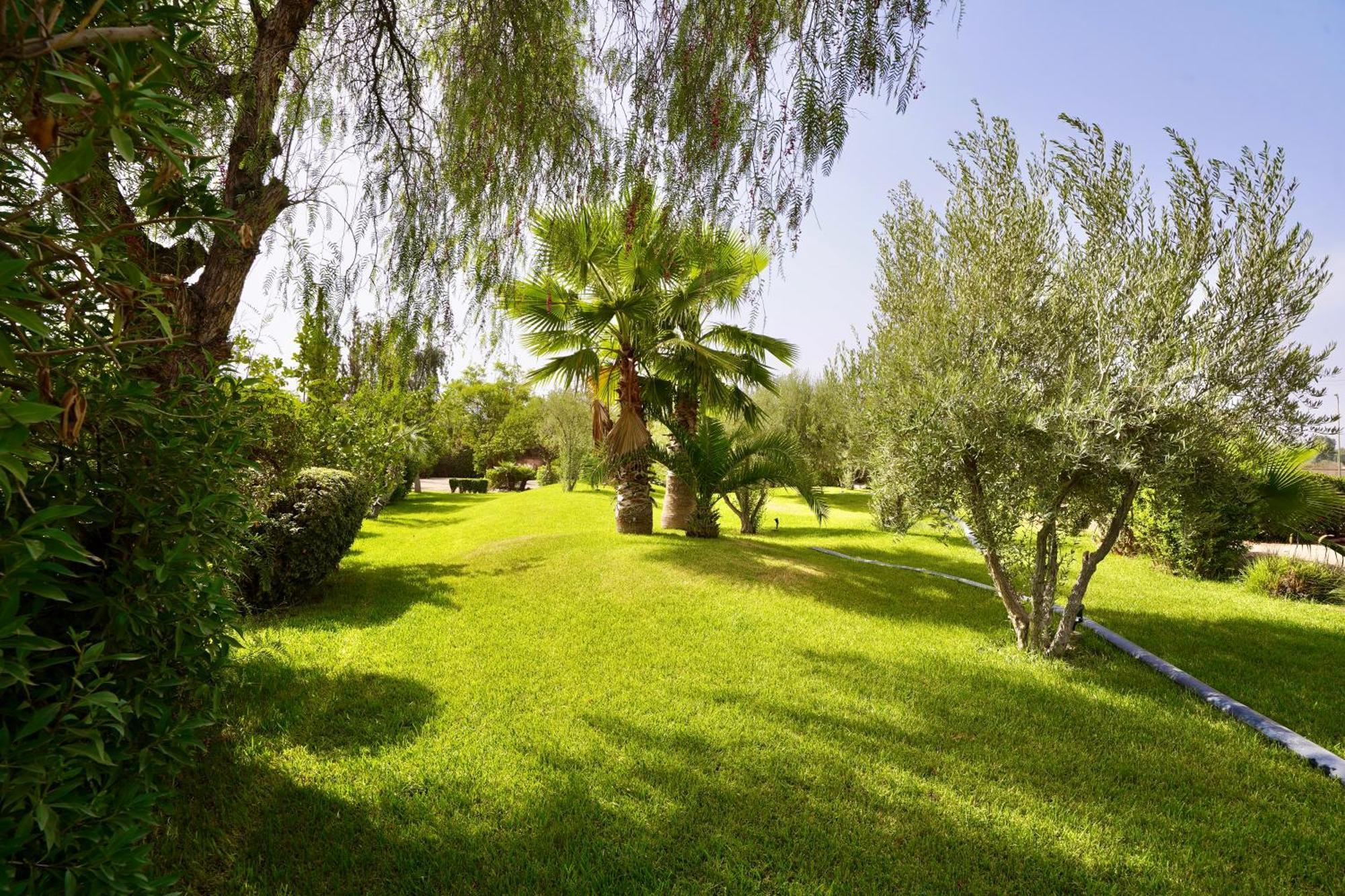 El Harkat Ourika Camp Suites Hotel & Resort المظهر الخارجي الصورة