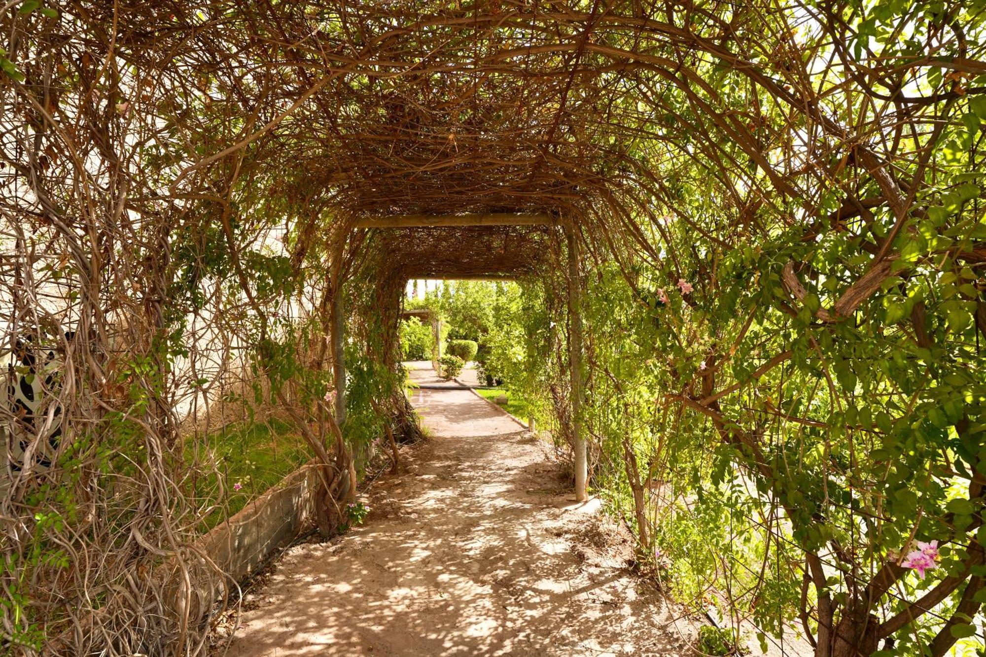 El Harkat Ourika Camp Suites Hotel & Resort المظهر الخارجي الصورة